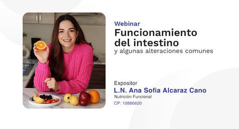 Funcionamiento del Intestino y algunas alteraciones comunes